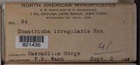 Image Associated With the Occurence